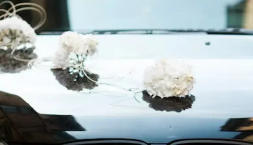 Wedding Car Rentals: The Ultimate Guide to Avoiding Big Day Stress